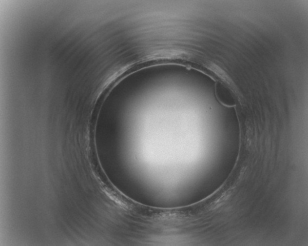 X0000059810834200511041651