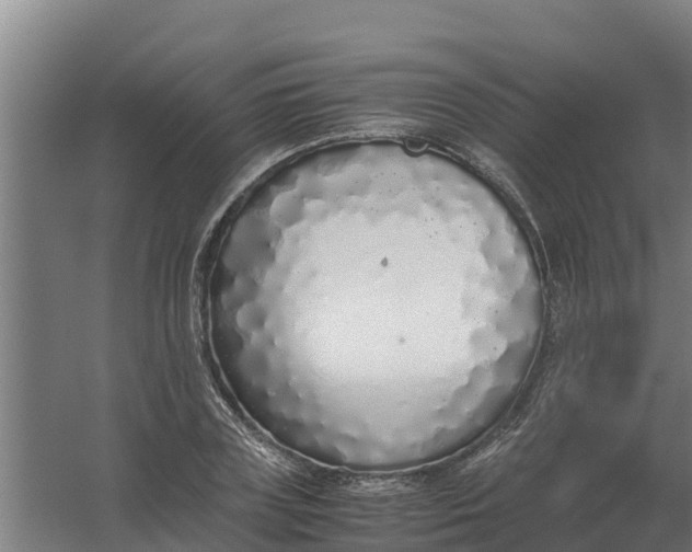 X0000059810835200511041651