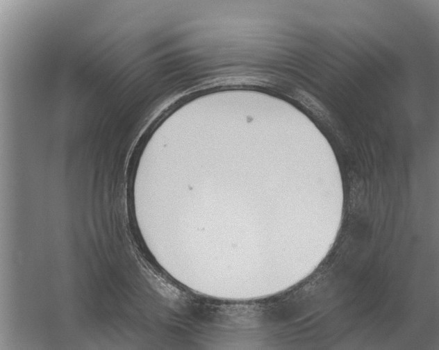 X0000059810836200511041651