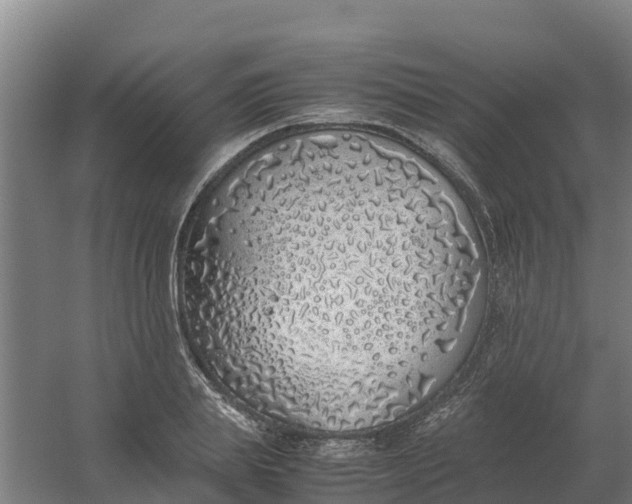 X0000059810839200511041651