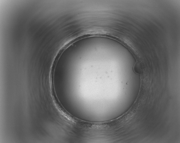 X0000059810840200511041651