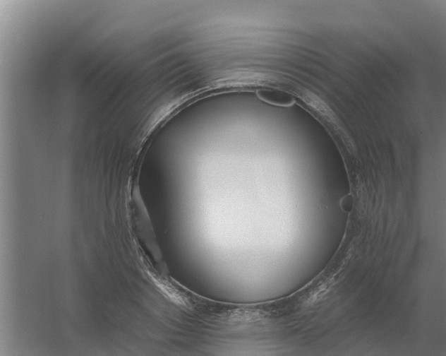 X0000059810842200511041651