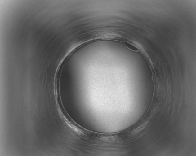 X0000059810843200511041651