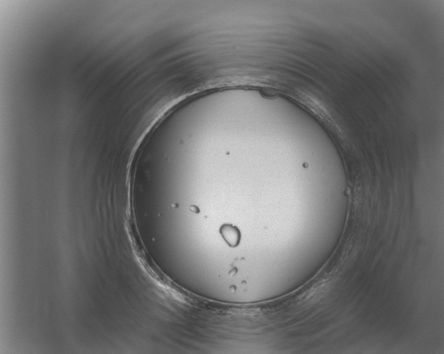 X0000059810844200511041651