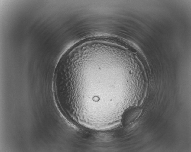 X0000059810847200511041651