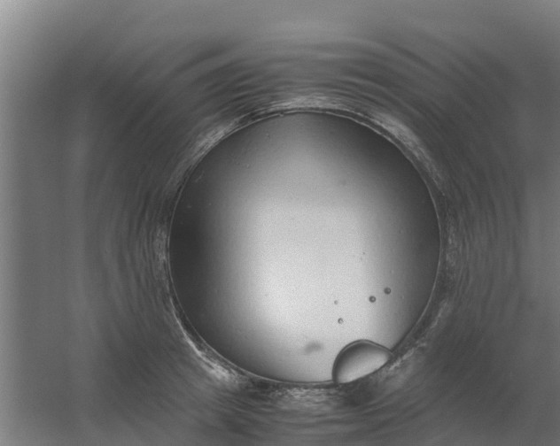 X0000059810849200511041651