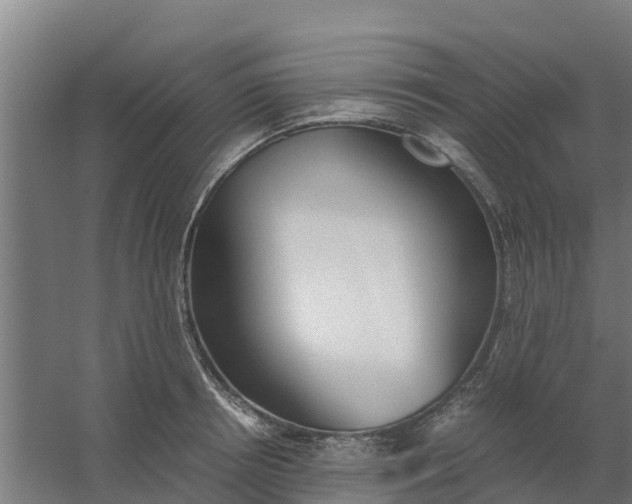 X0000059810850200511041651