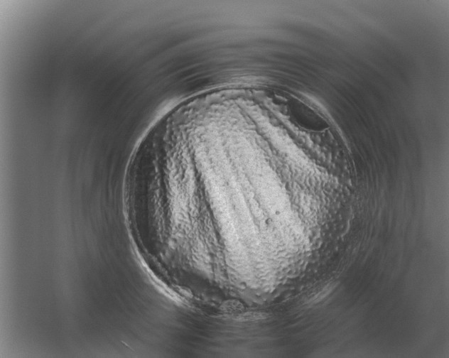 X0000059810851200511041651