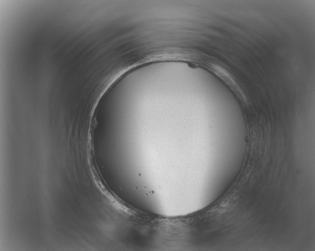 X0000059810852200511041651