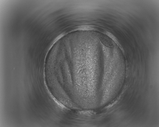 X0000059810853200511041651