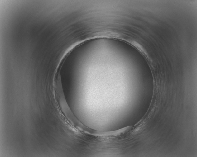 X0000059810854200511041651