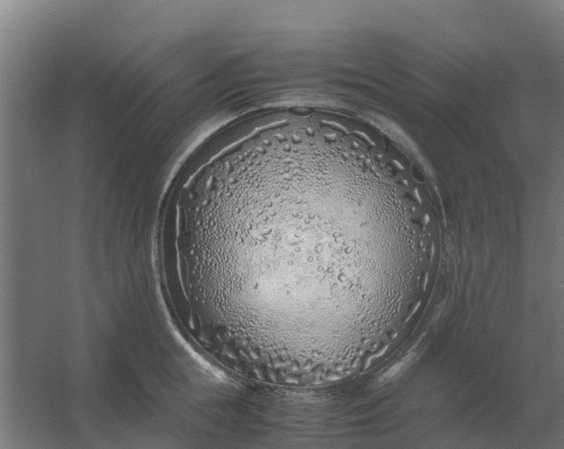 X0000059810855200511041651