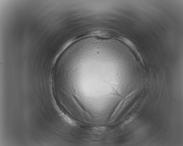 X0000059810859200511041652