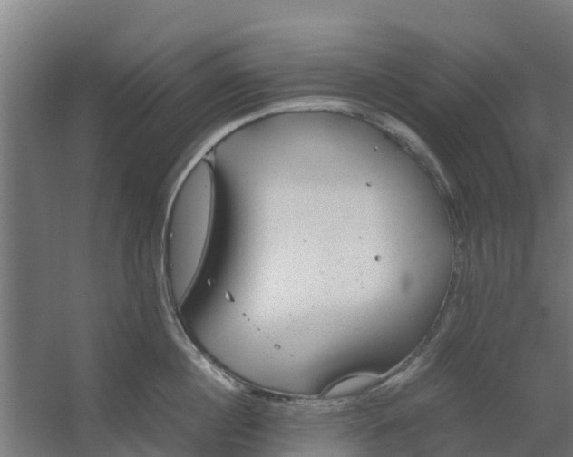 X0000059810860200511041652