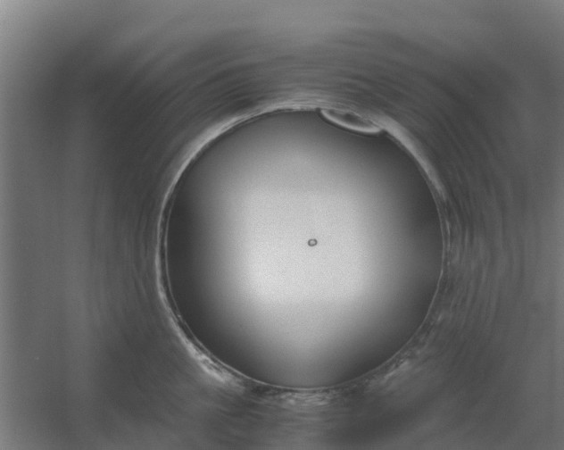 X0000059810861200511041652