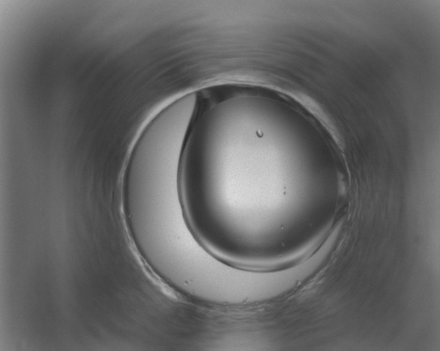 X0000059810862200511041652