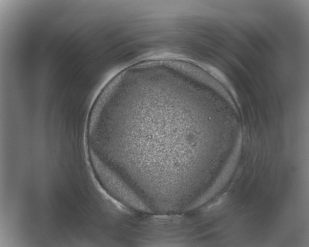 X0000059810863200511041652