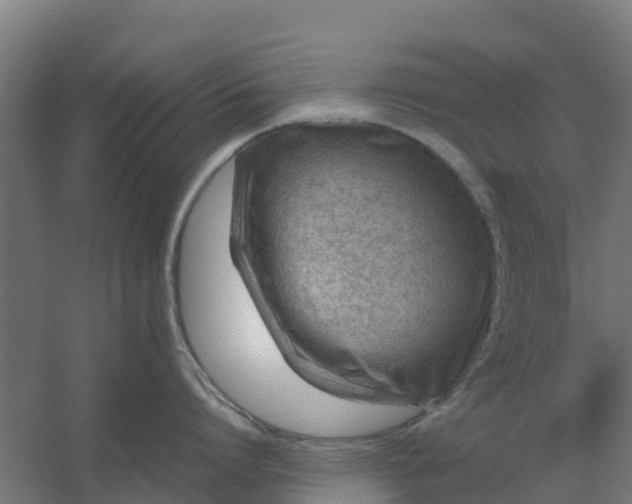 X0000059810864200511041652