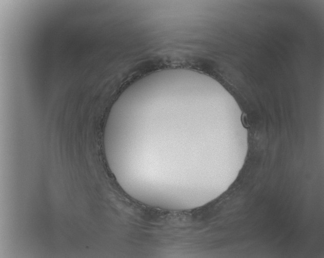 X0000059810865200511041651