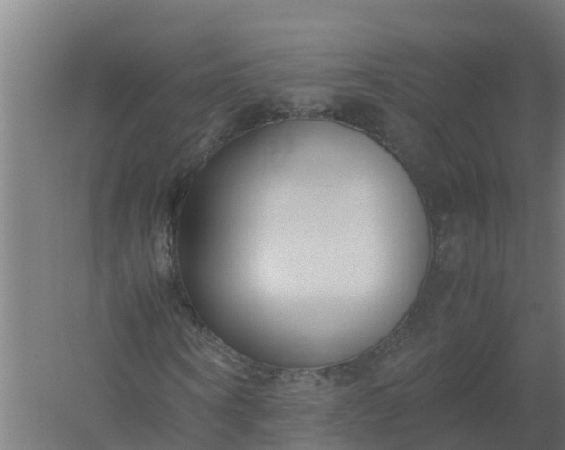 X0000059810866200511041651