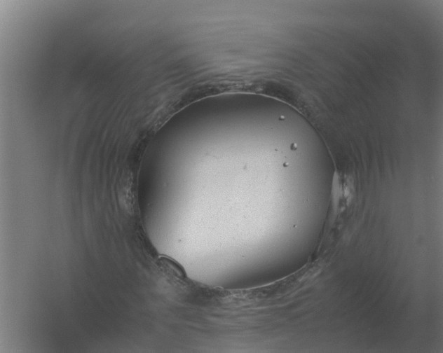 X0000059810867200511041651