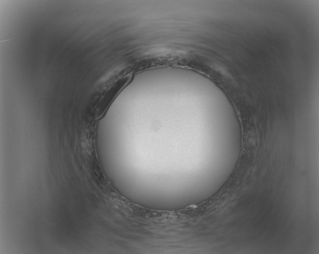 X0000059810869200511041651