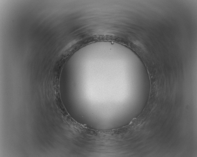 X0000059810870200511041651