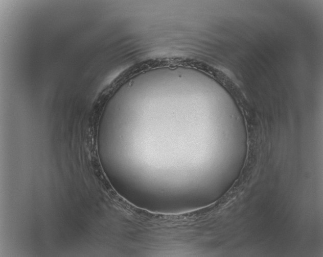 X0000059810871200511041651