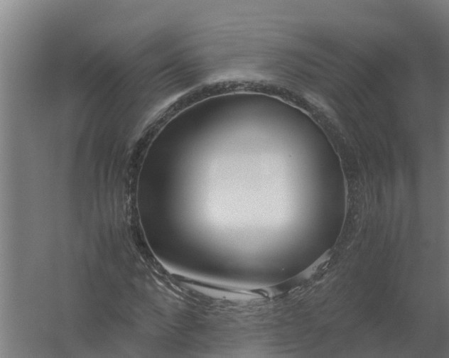 X0000059810872200511041651