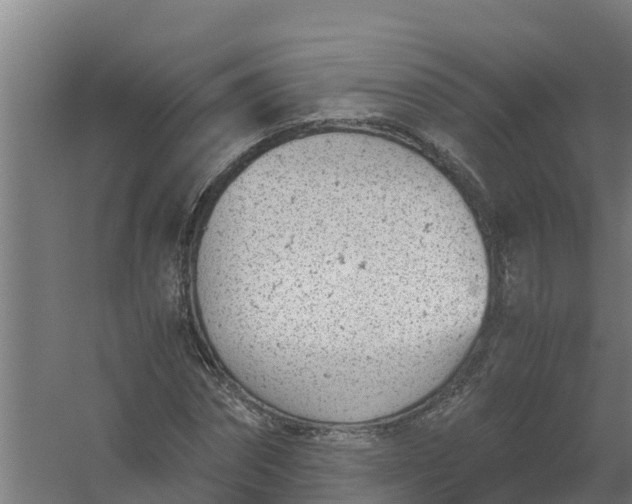 X0000059810874200511041651