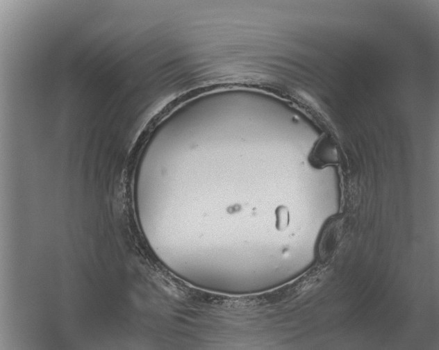 X0000059810875200511041651