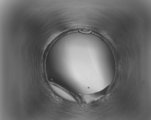 X0000059810877200511041651