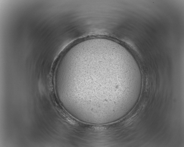 X0000059810878200511041651