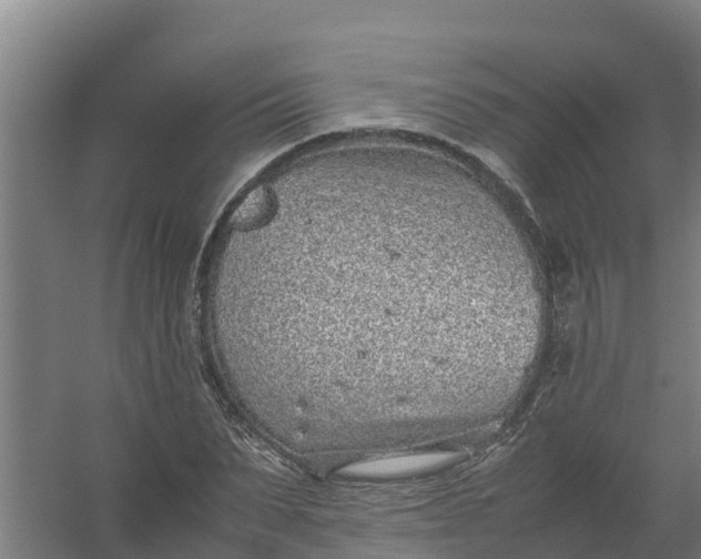 X0000059810879200511041651