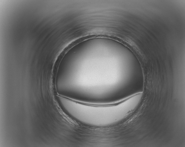 X0000059810880200511041651