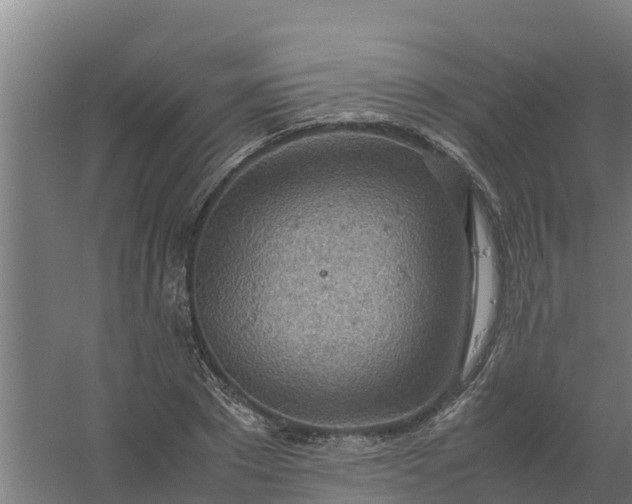 X0000059810881200511041651