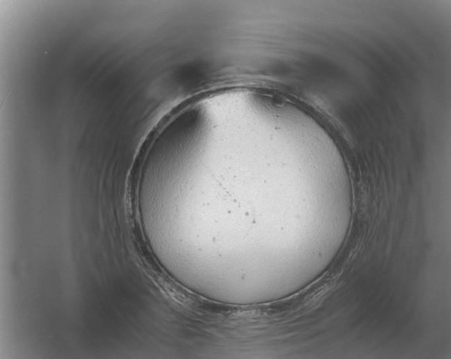 X0000059810883200511041651