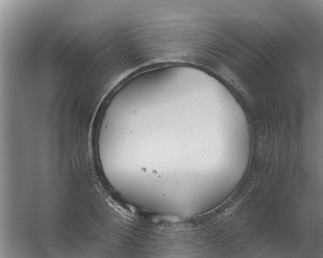 X0000059810884200511041651