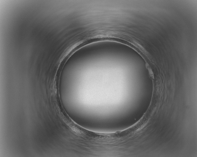 X0000059810885200511041650