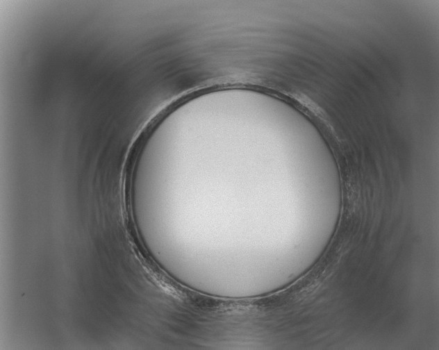 X0000059810886200511041650