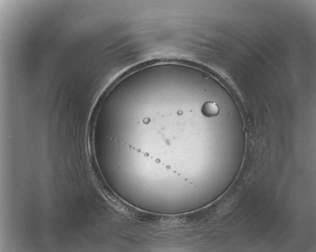 X0000059810887200511041650