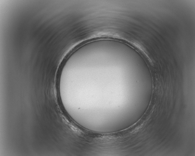 X0000059810888200511041650