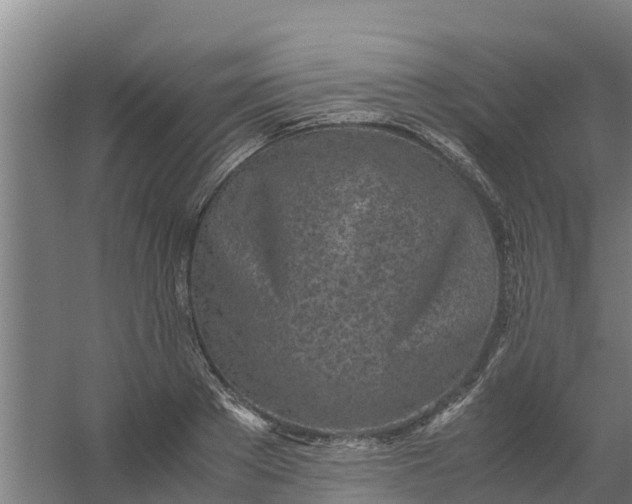 X0000059810889200511041650