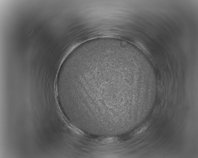 X0000059810891200511041650