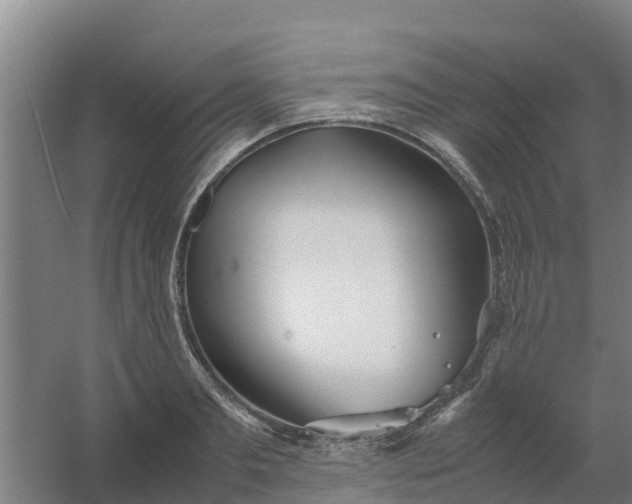 X0000059810893200511041650