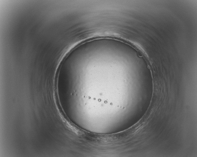 X0000059810895200511041650