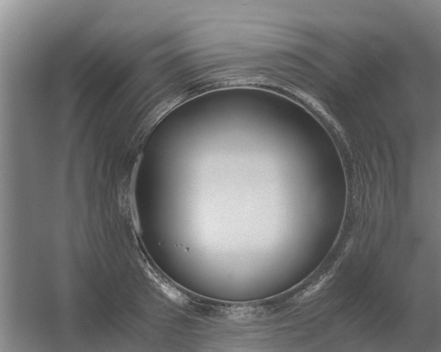 X0000059810897200511041650