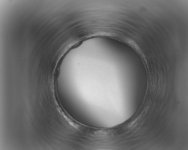 X0000059810898200511041650