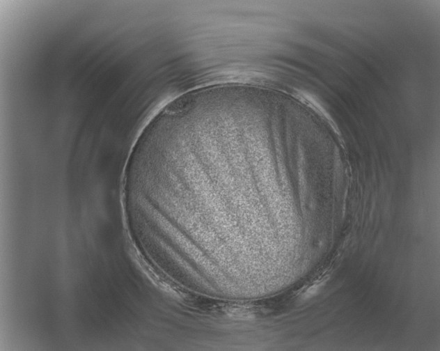 X0000059810899200511041650