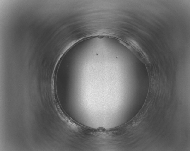 X0000059810900200511041650